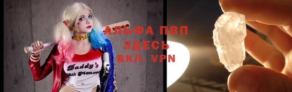 спайс Пересвет