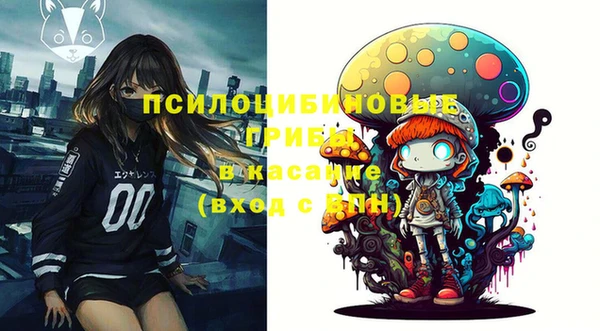 спайс Пересвет
