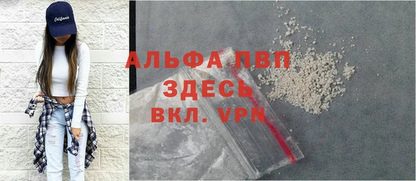 спайс Пересвет
