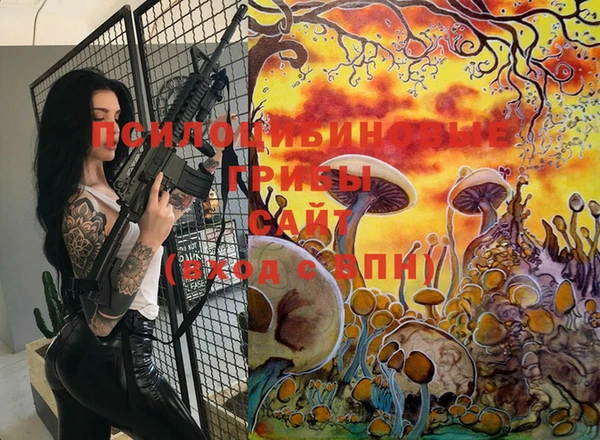 спайс Пересвет