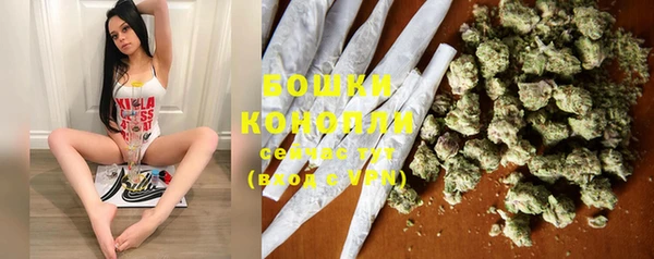 спайс Пересвет