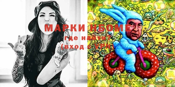 молекула духа Переславль-Залесский