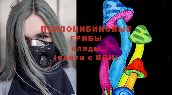 герыч Пестово