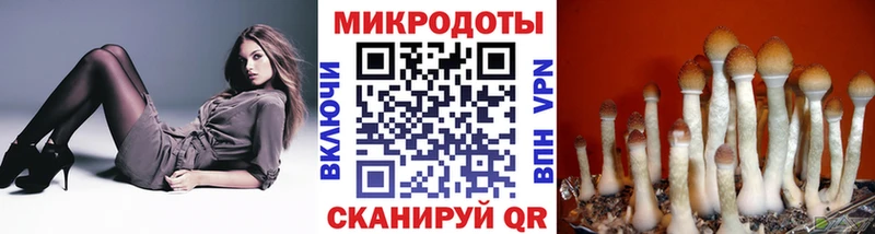 даркнет как зайти Болгар Псилоцибиновые грибы MAGIC MUSHROOMS мега рабочий сайт